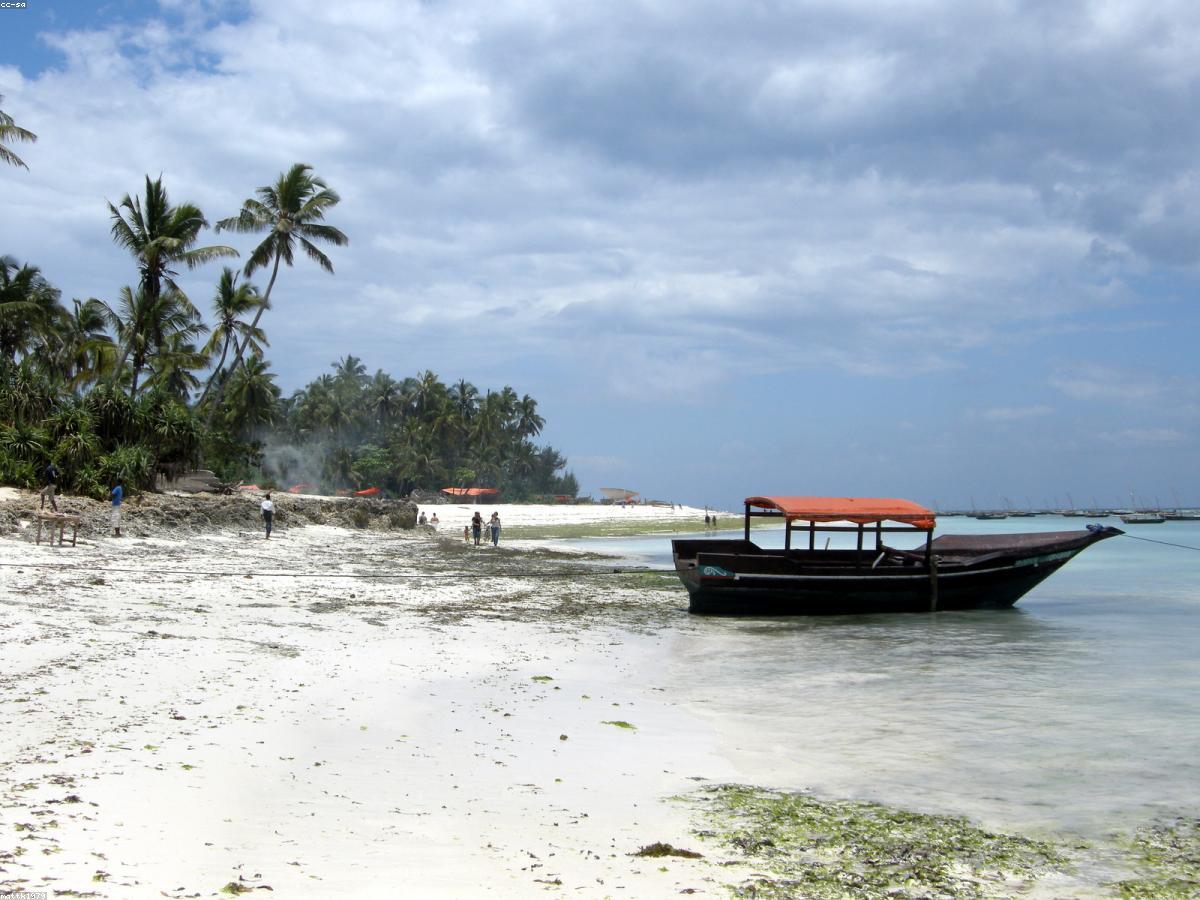 Tanzania & Zanzibar Experience